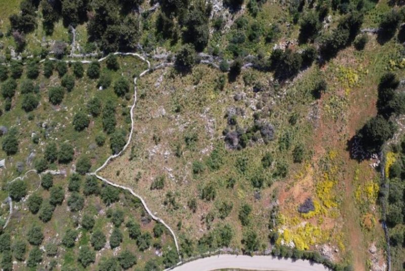 Kefalas Kreta, Kefalas: Malerisches Grundstück mit Meerblick zu verkaufen Grundstück kaufen